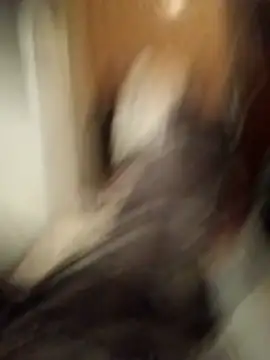 Empi19cm online show from October 24, 2025, 4:42 am