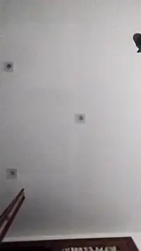 PearlingBunkbed online show from November 9, 2025, 5:06 am