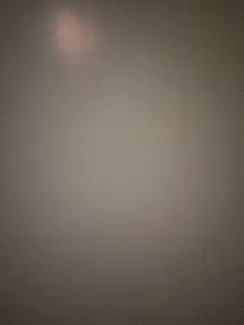 Ravina-737 online show from January 7, 2026, 3:36 pm