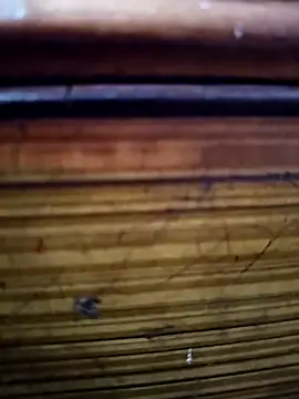 Snapshot of Shruti_Bhabhi38 chatting on November 1, 2025, 5:59 pm Shruti Bhabhi38 online show from November 1, 2025, 5:59 pm