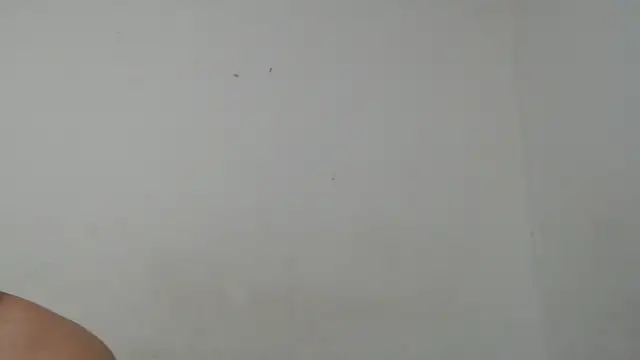 Ana ThiagoxX online show from September 14, 2025, 2:54 am