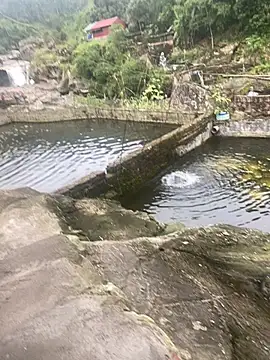 Snapshot of PhanHaa chatting on November 10, 2025, 9:30 am PhanHaa online show from November 10, 2025, 9:30 am