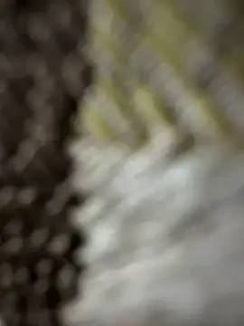 monster20cm online show from March 15, 2026, 3:23 am