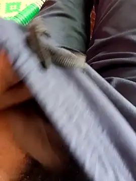 dolphiinn online show from November 20, 2025, 5:18 am