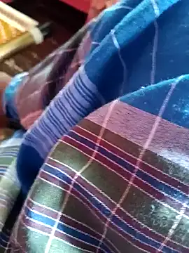 dolphiinn online show from November 23, 2025, 2:33 am