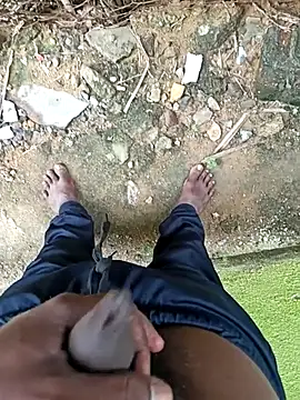 dolphiinn online show from December 18, 2025, 4:18 am