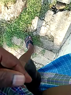 dolphiinn online show from April 12, 2026, 10:42 am