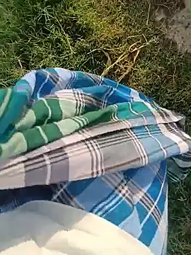 dolphiinn online show from July 7, 2026, 1:41 am