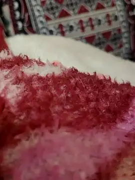 Hot modal online show from November 28, 2025, 4:53 pm