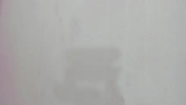 scarlett646 online show from November 26, 2025, 3:07 am