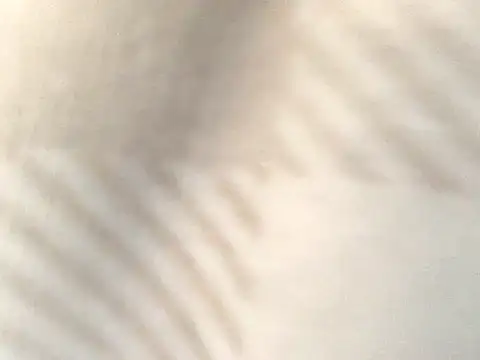 Tishrella6 online show from September 11, 2025, 7:25 pm