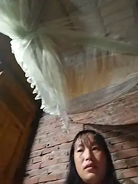 miss-su online show from November 5, 2025, 6:19 pm