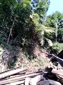 Snapshot of miss-su chatting on February 5, 2026, 7:46 am miss-su online show from February 5, 2026, 7:46 am