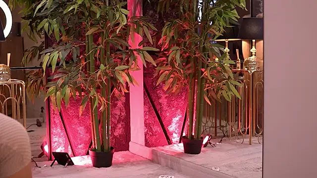 Snapshot of StephieRouse chatting on March 12, 2026, 7:36 am StephieRouse online show from March 12, 2026, 7:36 am