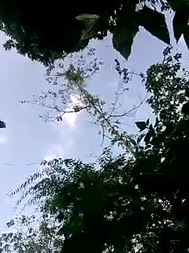 Snapshot of susi-love00 chatting on October 18, 2025, 2:25 am susi-love00 online show from October 18, 2025, 2:25 am