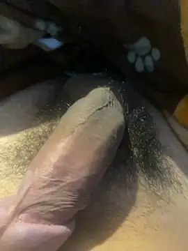 zzagreo online show from July 4, 2026, 7:58 am