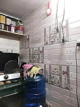 meenu bhabhi547 online show from April 15, 2026, 1:56 am