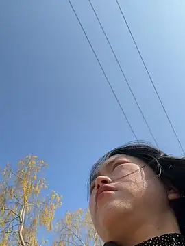 DHJM168 online show from January 15, 2026, 3:22 am