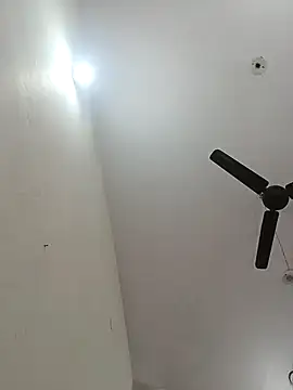 Appypie online show from December 3, 2025, 7:38 am