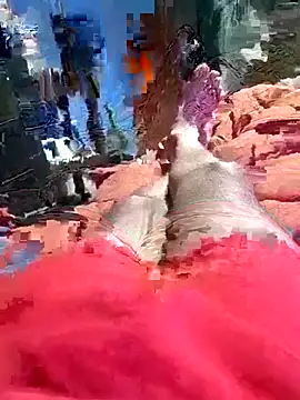 QJHoElyking online show from October 10, 2025, 3:27 am