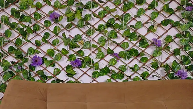 kloe bella online show from January 13, 2026, 12:43 pm