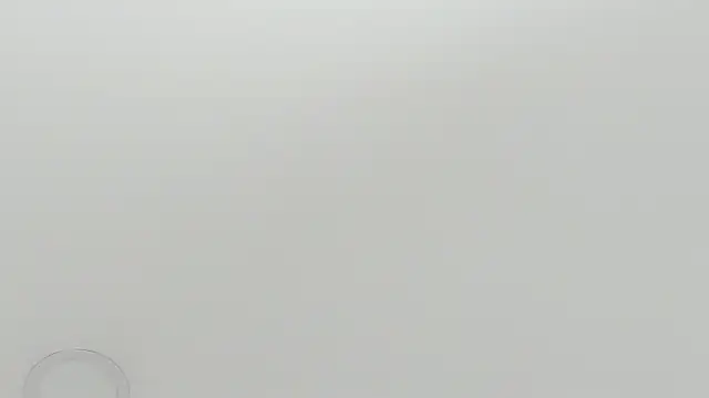 scarletross  online show from February 26, 2026, 2:38 pm