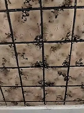 Snapshot of rosembertg chatting on October 2, 2025, 1:07 pm rosembertg online show from October 2, 2025, 1:07 pm