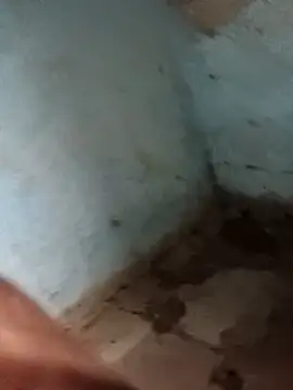 Snapshot of Sheema_tyagi chatting on November 11, 2025, 7:47 pm Sheema tyagi online show from November 11, 2025, 7:47 pm