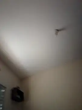 Psvsecreto online show from November 6, 2025, 3:24 pm