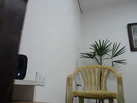 Young handsome online show from September 11, 2025, 3:56 pm