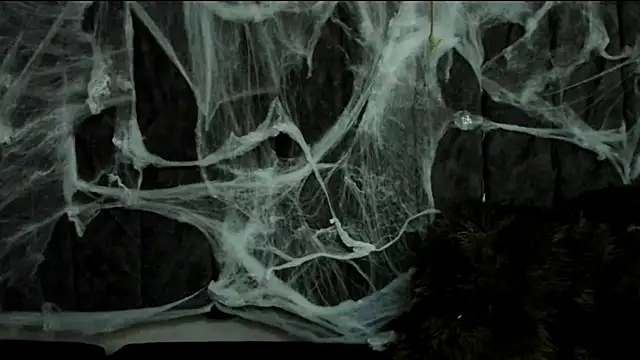 Rowan Mills online show from October 10, 2025, 8:19 pm