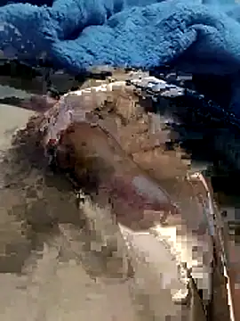 Snapshot of hdz3012 chatting on November 15, 2025, 1:29 pm hdz3012 online show from November 15, 2025, 1:29 pm