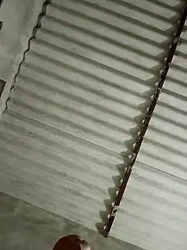 Payal950 online show from November 13, 2025, 3:22 pm