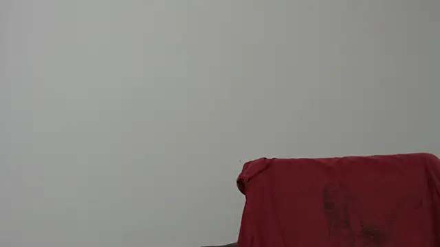 Snapshot of Rocky_Muscle chatting on February 5, 2026, 4:50 am Rocky Muscle online show from February 5, 2026, 4:50 am