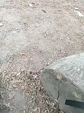 Dasdhon online show from November 18, 2025, 10:20 am