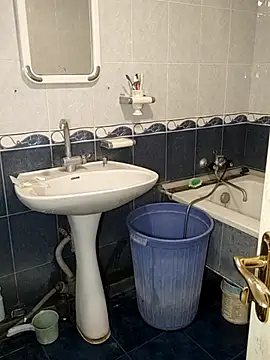 sealbrok online show from October 30, 2025, 6:59 am