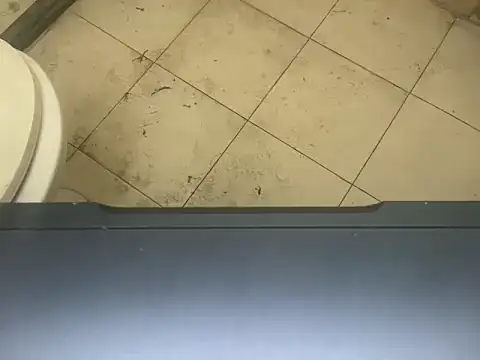 LustyDuoSecrets online show from November 3, 2025, 4:30 pm