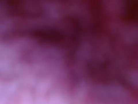 Your candy 47 online show from September 17, 2025, 1:24 pm