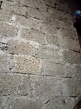 me-cute online show from December 16, 2025, 10:42 am