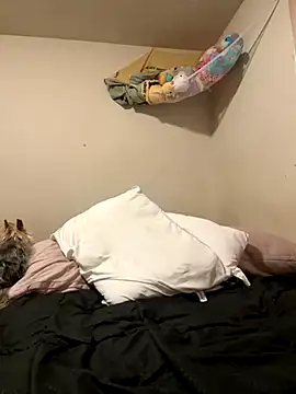 Snapshot of VanessaRose5362 chatting on October 14, 2025, 2:29 pm VanessaRose5362 online show from October 14, 2025, 2:29 pm