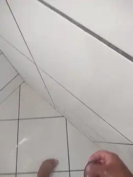 Novin23cms online show from January 13, 2026, 11:15 am