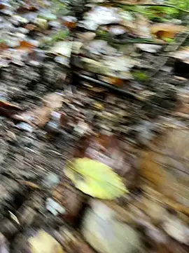 Snapshot of andymatthisbwc chatting on October 5, 2025, 3:43 pm andymatthisbwc online show from October 5, 2025, 3:43 pm