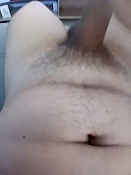 novinho sc770 online show from September 23, 2025, 4:21 pm