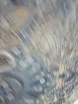 HAANNIAA online show from December 2, 2025, 11:04 am