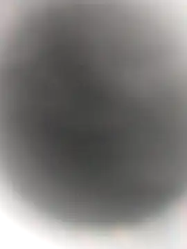 Necroforo online show from February 14, 2026, 8:49 pm