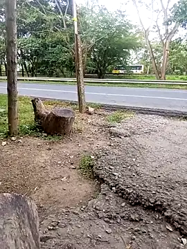 charlotte dante212 online show from November 23, 2025, 9:25 pm