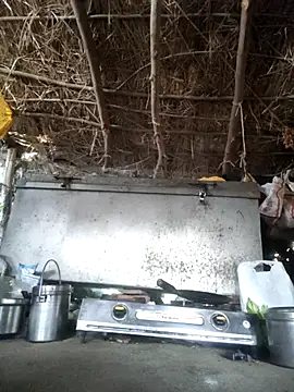 LUCKY cut online show from November 7, 2025, 2:22 am