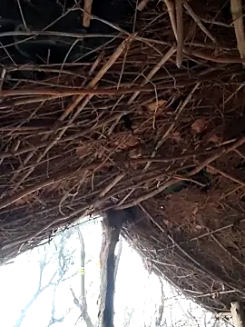 Janvi Jaitly online show from December 5, 2025, 1:25 am