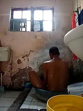 average price online show from November 28, 2025, 4:37 am