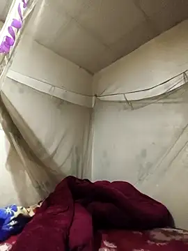 siki-00 online show from February 15, 2026, 8:13 am